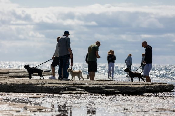 Social Walk Social Walk und Gruppenstunden